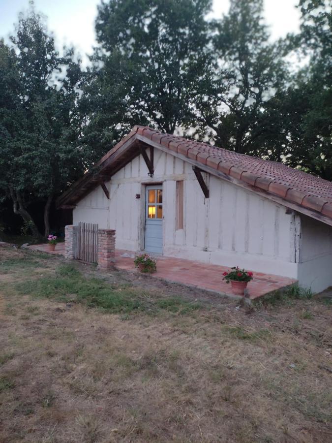 Maisonnette Vue Sur Foret Campagne  Esterno foto